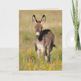 "ゴールデンメドウズ" – グリーティングカード