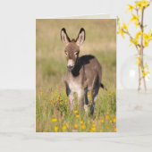 "ゴールデンメドウズ" – グリーティングカード (黄色い花)