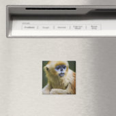 ゴールデンモンキー マグネット (インサイチュ (食洗機))