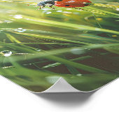 ゴールデンモーニングレディバグ:自然の露のキス美しい ポスター (角)