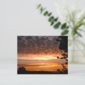 ゴールデンモーニング ポストカード (スタンド正面)