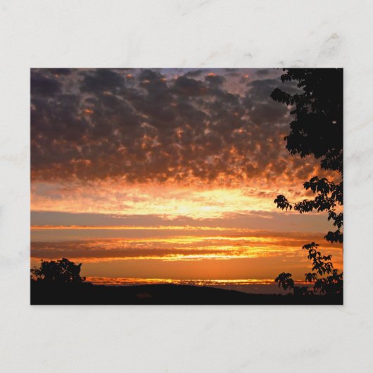 ゴールデンモーニング ポストカード (正面)