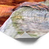 ゴールデンライオンタマリンは木に突き刺さった ポスター (角)