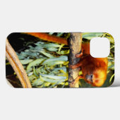 ゴールデンライオンタマリン観察、iPhone 13ケース Case-Mate iPhoneケース (裏面 (横))