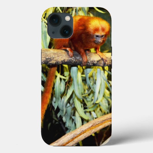 ゴールデンライオンタマリン観察、iPhone 13ケース Case-Mate iPhoneケース (裏面)
