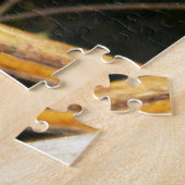 ゴールデンライオンタマリン観測ジグソーパズル ジグソーパズル (側面)