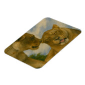 ゴールデンライトの雌ライオン マグネット (左側)
