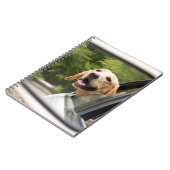 ゴールデンラブラドールインバックビュー鏡 ノートブック (左側)