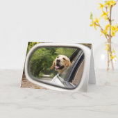 ゴールデンラブラドールインレアビュー鏡 カード (黄色い花)