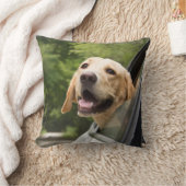 ゴールデンラブラドールインレアビュー鏡 クッション (ブランケット)
