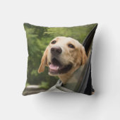 ゴールデンラブラドールインレアビュー鏡 クッション (裏面)