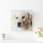 ゴールデンラブラドールパピークローズアップ スクエア壁時計 (ホーム)