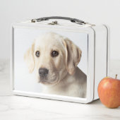 ゴールデンラブラドールパピークローズアップ メタルランチボックス (インサイチュ)