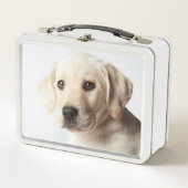ゴールデンラブラドールパピークローズアップ メタルランチボックス (正面)