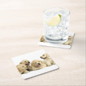 ゴールデンラブラドールパピーパイル スクエアペーパーコースター (インサイチュ)