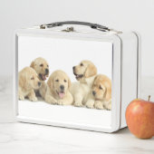 ゴールデンラブラドールパピーパイル メタルランチボックス (インサイチュ)