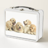 ゴールデンラブラドールパピーパイル メタルランチボックス (正面)