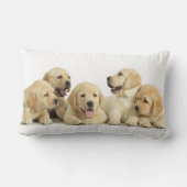 ゴールデンラブラドールパピーパイル ランバークッション (裏面)