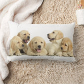 ゴールデンラブラドールパピーパイル ランバークッション (ブランケット)