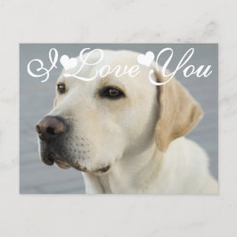 ゴールデンラブラドールレトリバー写真好きI Love You ポストカード