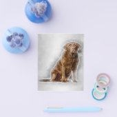 ゴールデンラブラドールレトリバー8歳 チラシ (シングル)