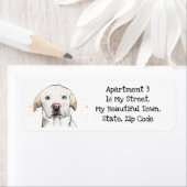 ゴールデンラブラドールレトリバー、ペット犬の水色 ラベル (インサイチュ)