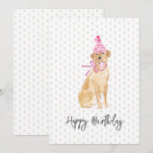 ゴールデンラブラドール誕生日ハットバルーン犬ペットおもしろい (正面/裏面)