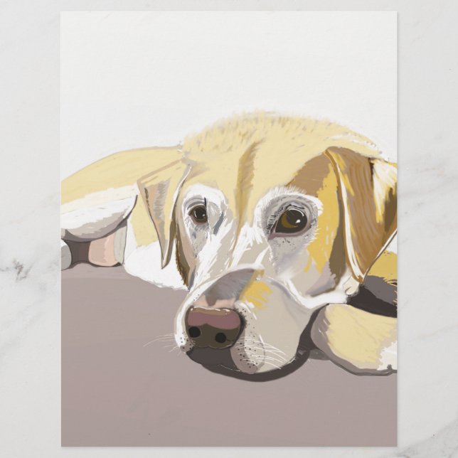 ゴールデンラブラドール (正面)