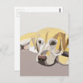 ゴールデンラブラドール ポストカード (正面/裏面)