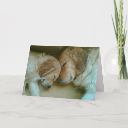 ゴールデンラブ カード (正面)