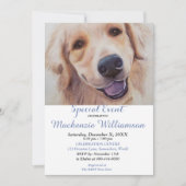 ゴールデンラボ 幸せな誕生日を願う 招待状 (正面)