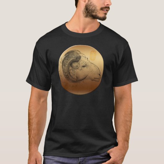 ゴールデンラム年中国の星占い〔占星術の〕十二宮図Bメンティー Tシャツ (正面)