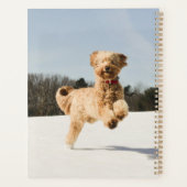 ゴールデンランニングドードルスルーフィールド プランナー手帳 (裏面)