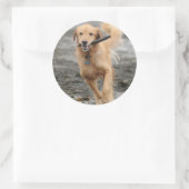 ゴールデンランニングレトリバーの口にスティック ラウンドシール (バッグ)