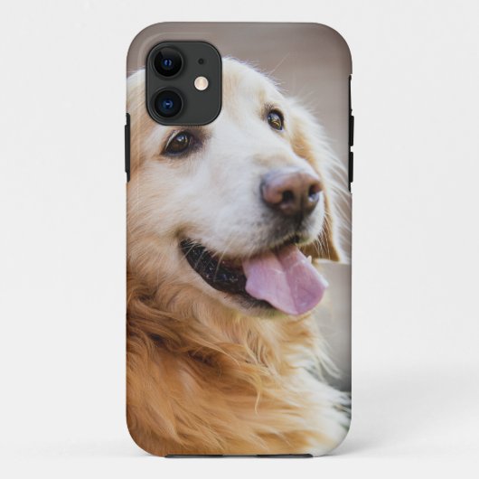 ゴールデンリタイバー,犬,ハッピードッグ Case-Mate iPhoneケース (裏面)