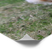 ゴールデンリトランニングリーバーの1 ポスター (角)