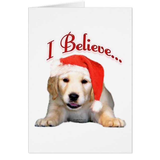 ゴールデンリトリエ信じバーI (正面)