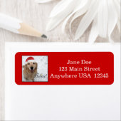 ゴールデンリトリエ信じーバークリスマス ラベル (インサイチュ)