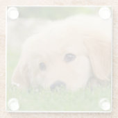 ゴールデンリトリバーのかわいい犬の子犬が夢を見る- ガラスコースター (裏面)