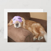 ゴールデンリトリバー退職葉書 ポストカード (正面/裏面)