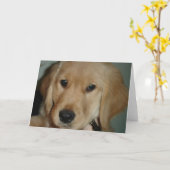 ゴールデンリトリーバーの子犬 カード (黄色い花)