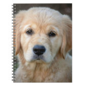 ゴールデンリトリーバーの子犬 ノートブック (正面)