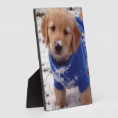 ゴールデンリトリーバーの子犬 フォトプラーク (側面)