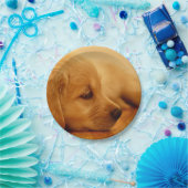 ゴールデンリトリーバーの子犬 ペーパープレート (パーティー)