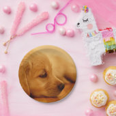 ゴールデンリトリーバーの子犬 ペーパープレート (パーティー)