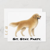 ゴールデンリトリーバー招待状 招待状 (正面/裏面)