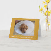 ゴールデンリトリーバー犬がグリーティングカードが好調 カード (黄色い花)