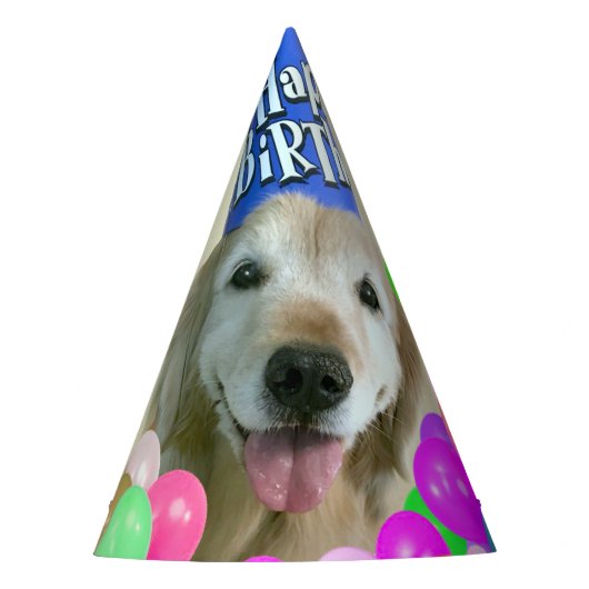 ゴールデンリトリーバー犬とバルーン誕生日 パーティーハット (正面)