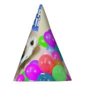 ゴールデンリトリーバー犬とバルーン誕生日 パーティーハット (右)