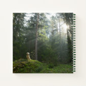 ゴールデンリトリーバー犬 |松林 ノートブック (裏面)